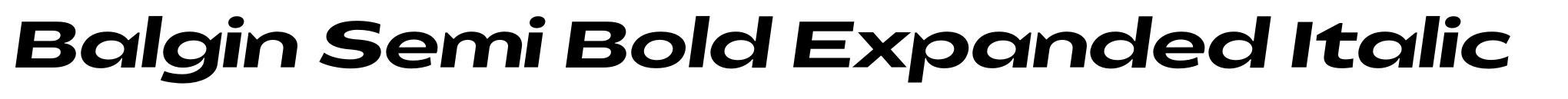 Balgin Semi Bold Expanded Italic image